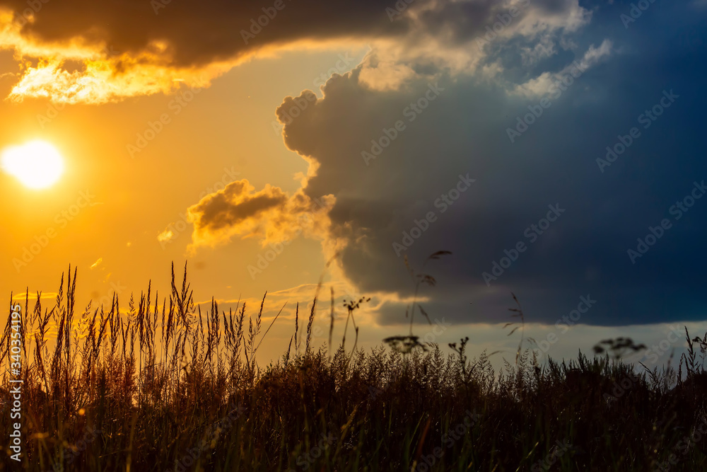 Grass on the sunset in the evening. Summer landscape. Grass on the sunset in the evening. Summer landscape.