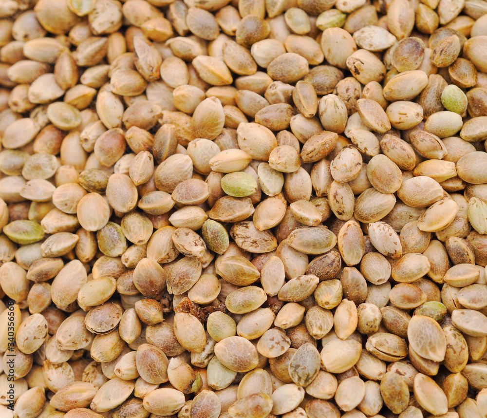 Many Cannabis seeds. Many Cannabis seeds.