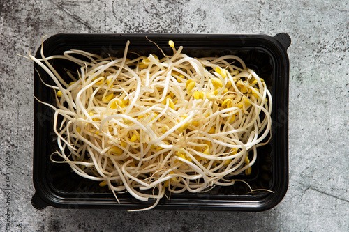 Bean sprout in black plastic container 