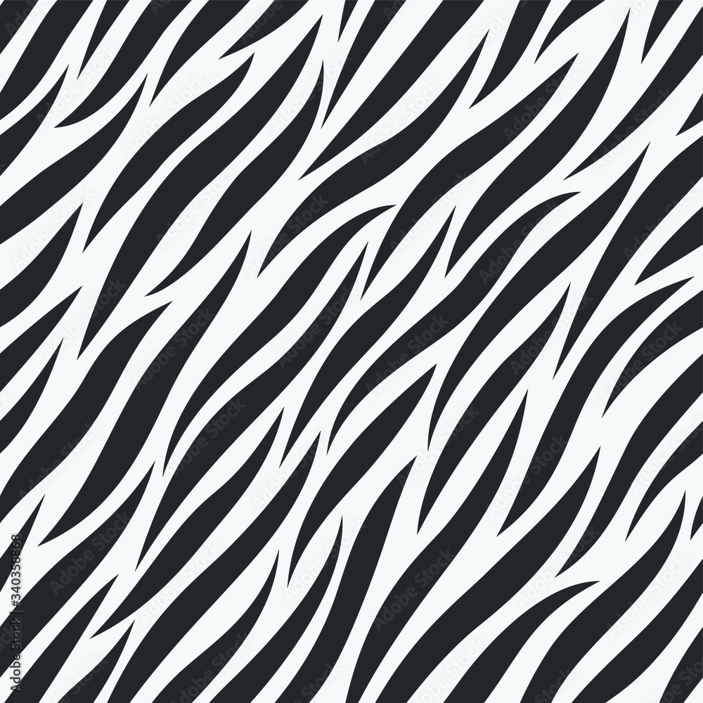 Zebra pattern animal print black and white Zebra pattern animal print black and white