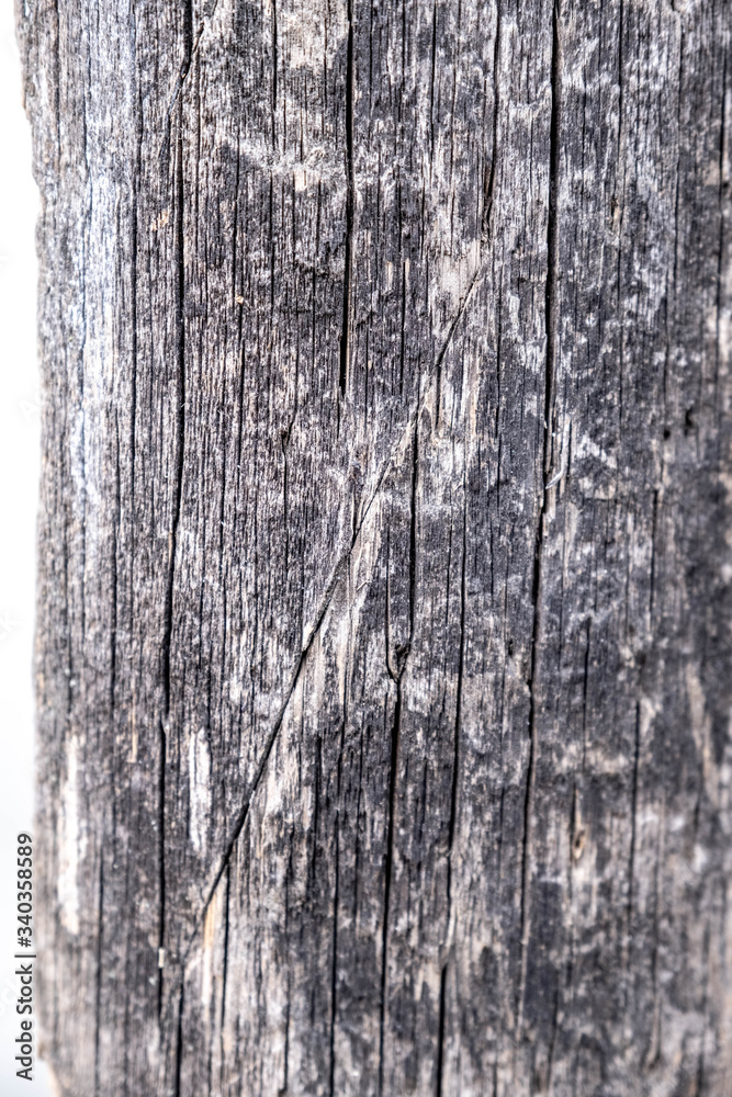 Obraz premium Texture