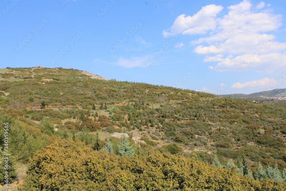 Obraz premium Green mountain side with trees and cloudy blue sunny sky