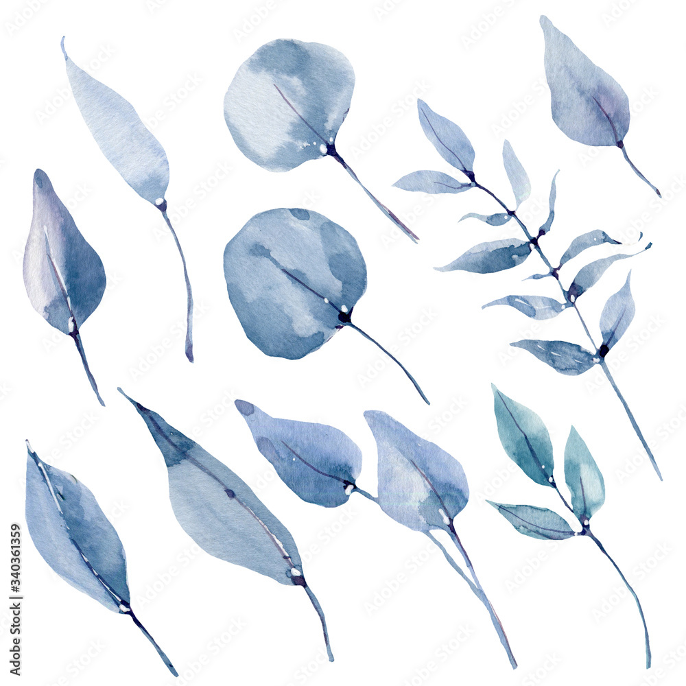 watercolor leaves collection.