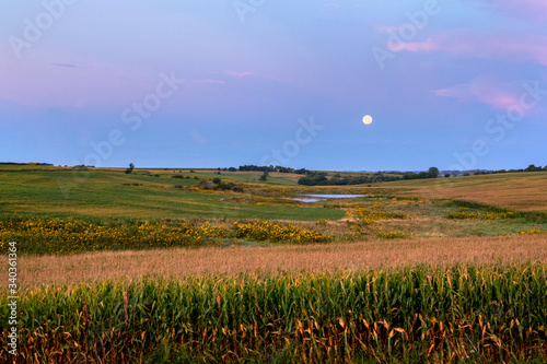 фотографія Iowa Corn Field and Moon