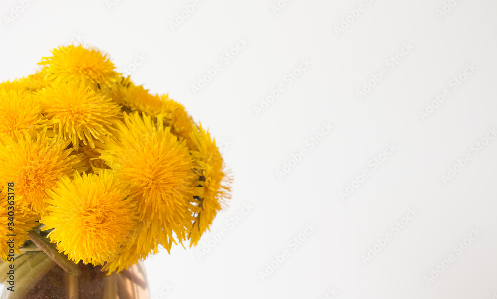 Bouquet of yellow dandelions in a glass vase on a blurred white background. spring composition. copy space Bouquet of yellow dandelions in a glass vase on a blurred white background. spring composition. copy space