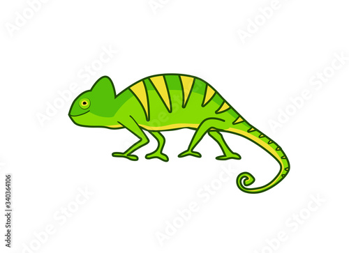 Chameleon illustration in vector on white background. Isolated illustration of green chameleon.
