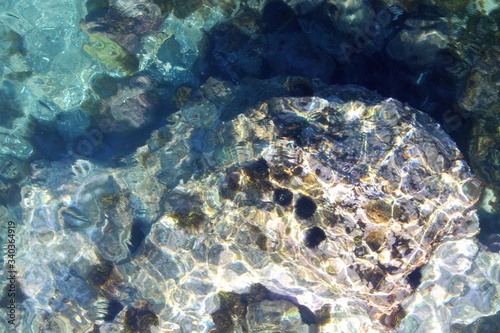 sea ​​urchins on the Costa del Sol