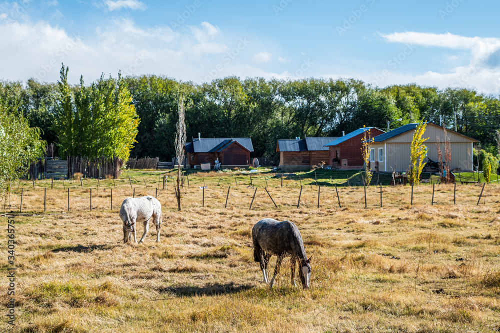Obraz premium El Calafate