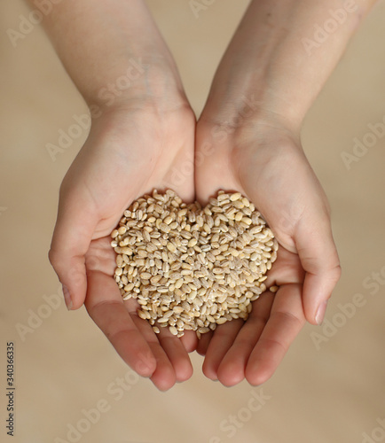 Harvest, close-up of farmer's hands holding wheat grains. heart symbol is in hands