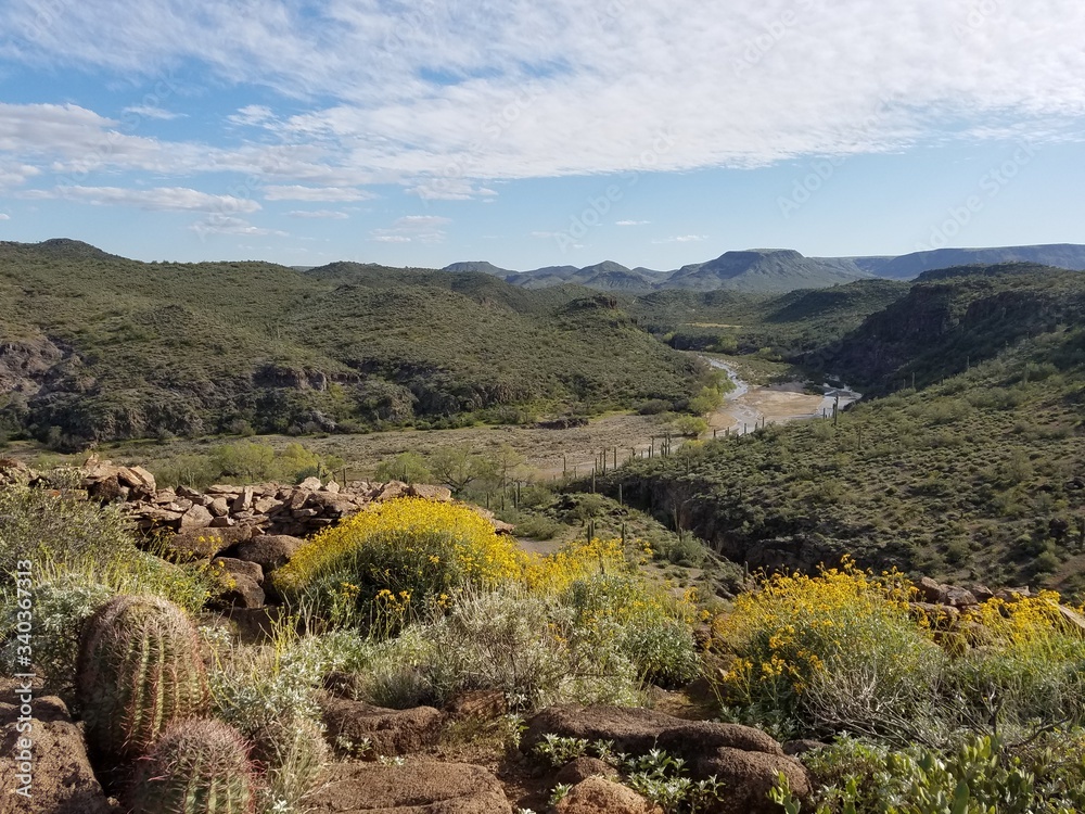 Touring the scenic Arizona Desert and Cacti Touring the scenic Arizona Desert and Cacti