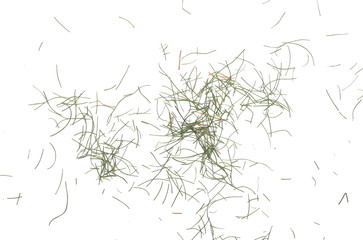 Dry cut green grass leaves isolated on white background, organic texture, top view