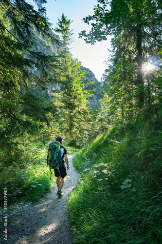 hiking through green forest in Bavaria