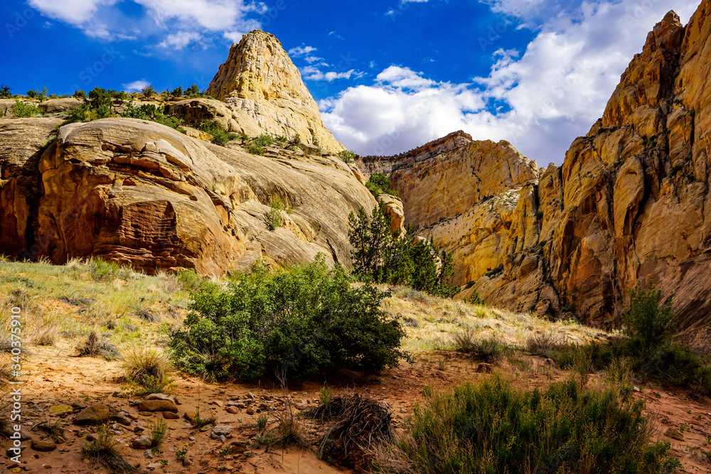 Obraz premium grand canyon arizona