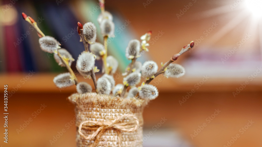Bouquet of willow branches on the background of books on the shelf, pussy-willow in a vase, which is wrapped in sacking