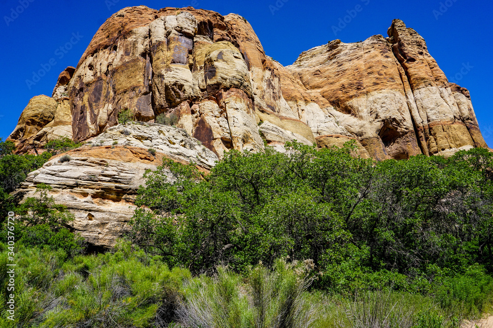rock in the mountains rock in the mountains