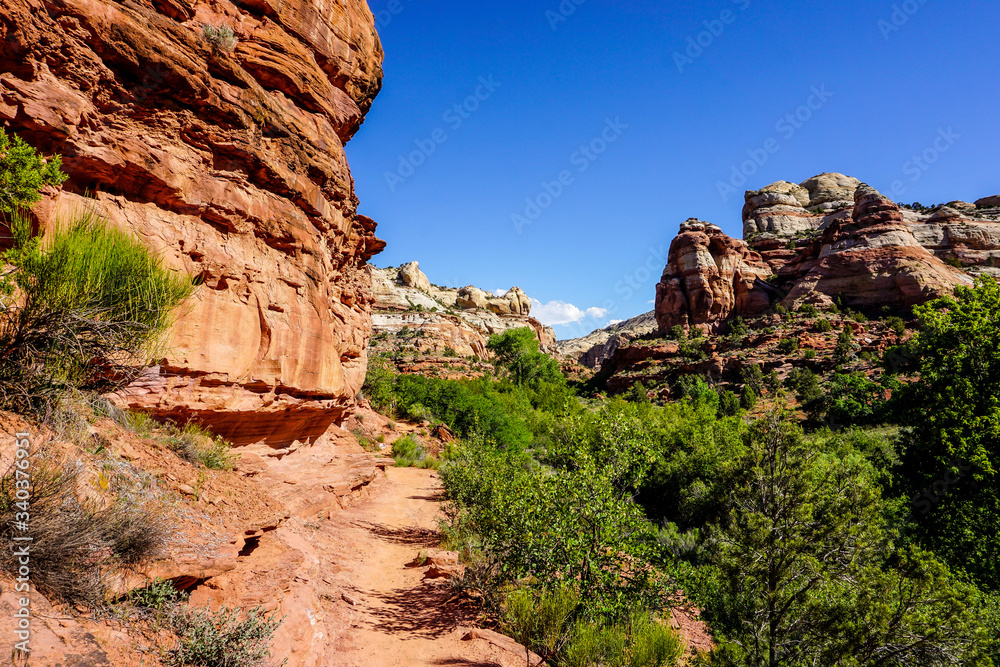 red rock canyon