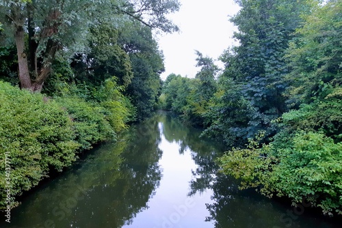 river in the forest