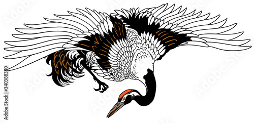 Flying crane. Japanese red crowned bird. Tattoo. Isolated vector illustration