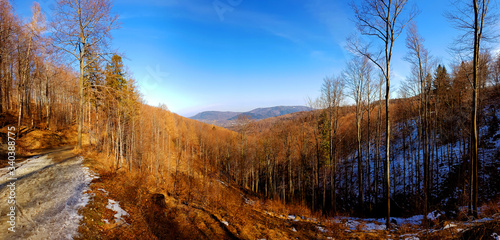 Panoramic mountains forest.