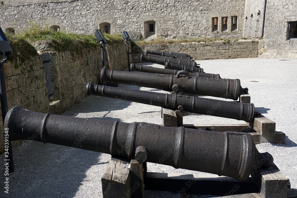 cannon in the fortress