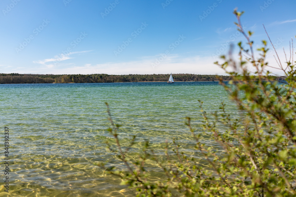 grass on the beach and sailing boat