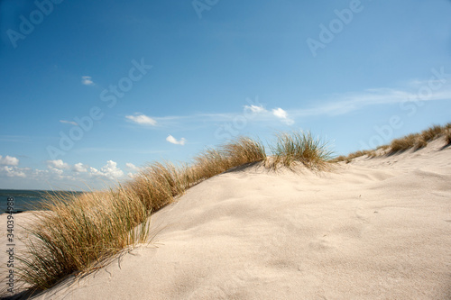 Fototapeta Naklejka Na Ścianę i Meble -  grass at white dunes