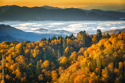 Great Smoky Mountains