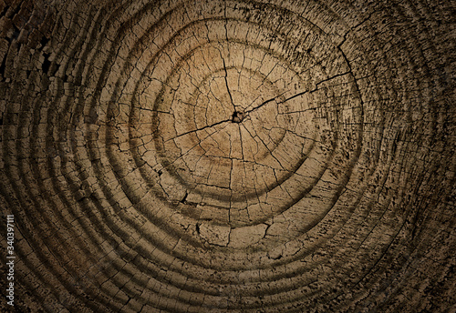 Natural cracked wood texture texture with vintage detailed tree ring design of end grain