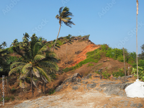 Beautiful tropical view of a mountain with palm trees on Arambol Goa India