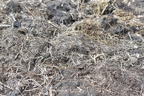 Surface of black soil and humus with manure