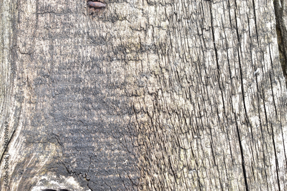The surface of old cracked and rotten wood The surface of old cracked and rotten wood