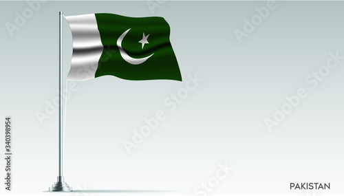 National flag of Pakistan isolated, vector.