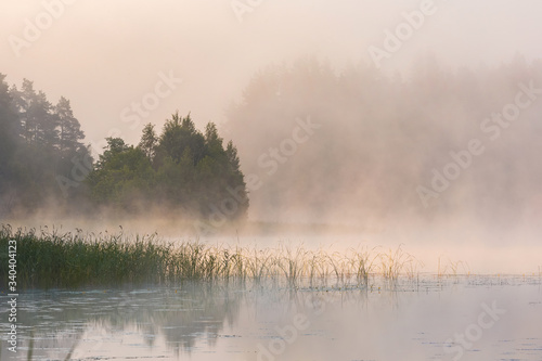 Summer landscape. Strong pink fog on the river. Environment concept