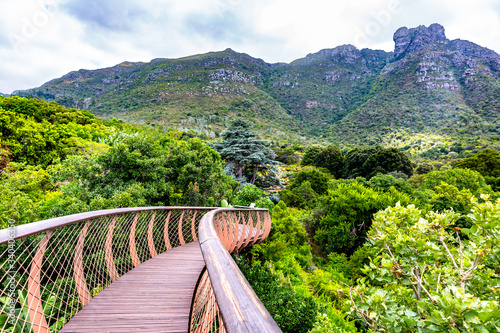 walkway in Kirstenbosch National Botanical Garden in Cape Town, South Africa. photo