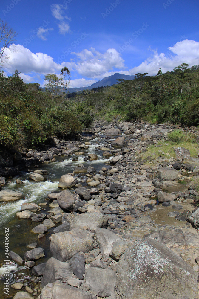 Naturaleza en su esplendor Naturaleza en su esplendor