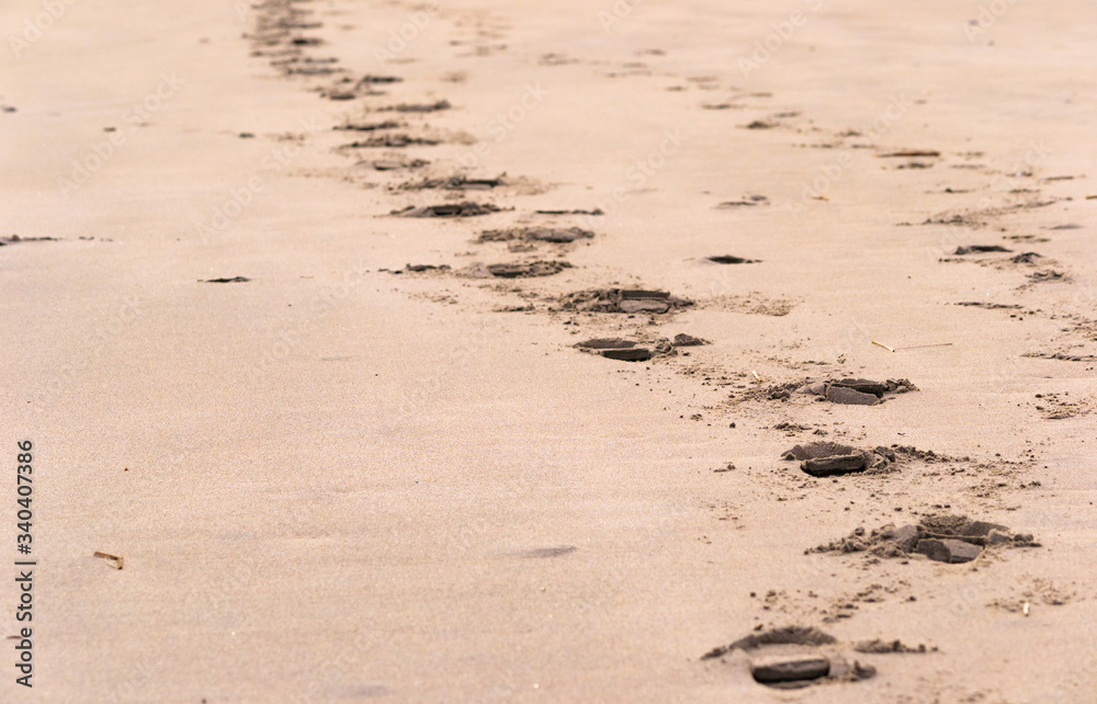 a couple's footprints in the beach sand trailing off into the distance a couple's footprints in the beach sand trailing off into the distance