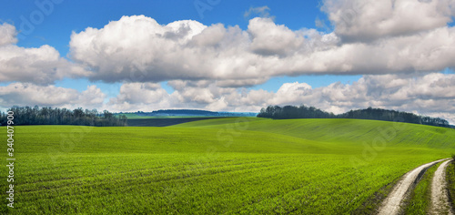 springtime panorama of greenfields hills, near forest and cloudy sky