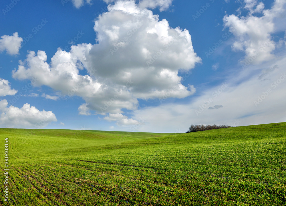cloudy sky, green fields of winter wheat in hilly terrain in spring