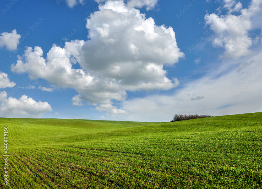 cloudy sky, green fields of winter wheat in hilly terrain in spring cloudy sky, green fields of winter wheat in hilly terrain in spring