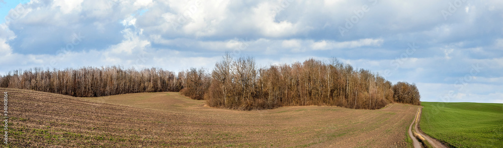 spring landscape, green fields on hills of winter wheat, plowed soil near forest and cloudy sky spring landscape, green fields on hills of winter wheat, plowed soil near forest and cloudy sky