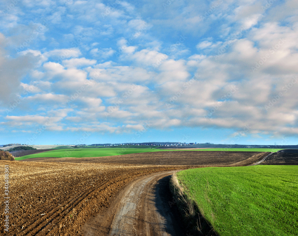 a dirt road between a plowed field and a field of winter wheat in the hilly terrain at spring a dirt road between a plowed field and a field of winter wheat in the hilly terrain at spring