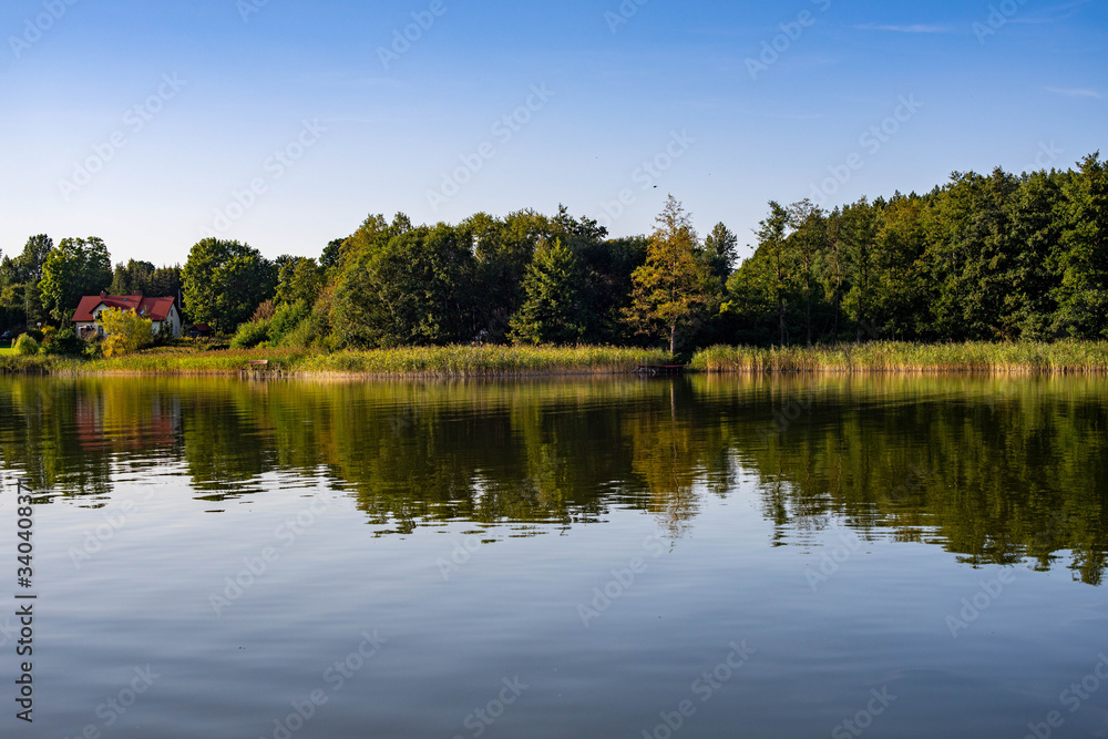Krajobraz jeziora i drzew z odbiciem w wodzie