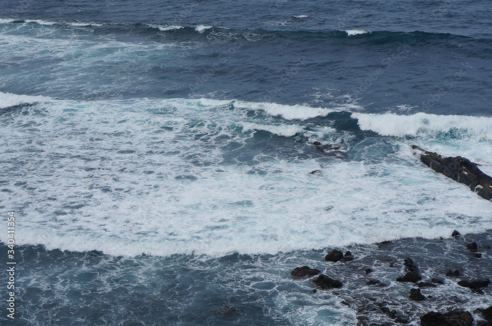 Fototapeta premium 1696