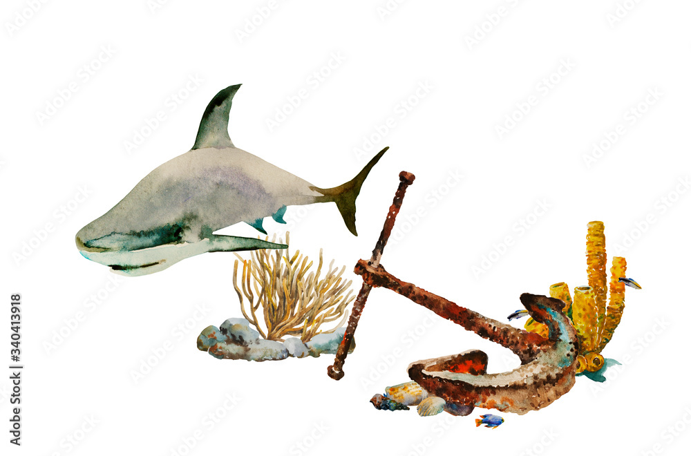 Obraz premium Watercolor underwater scene with anchor on the sea bottom, with seeweeds and small fishes, and big shark. Original concept of shipwerk and diving backdrop