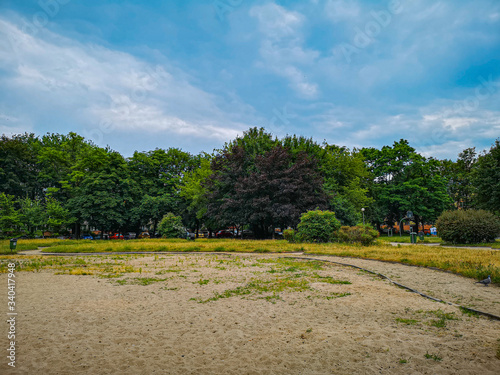 Colorful landscape with blue sky, green trees and sand with growing grass
