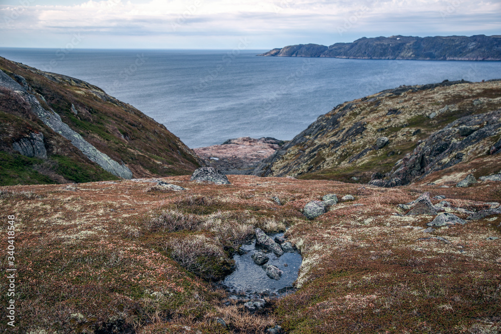 Scenic view of the Barents Sea. North of Russia.
