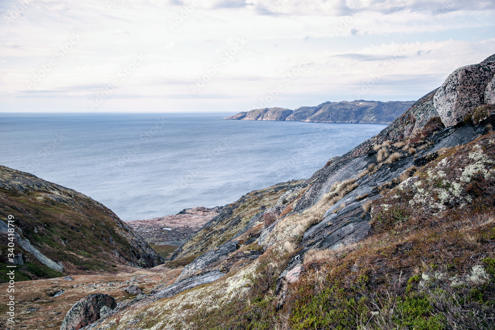 The picturesque coast of the Barents Sea. The nature of the Kola Peninsula in the summer.