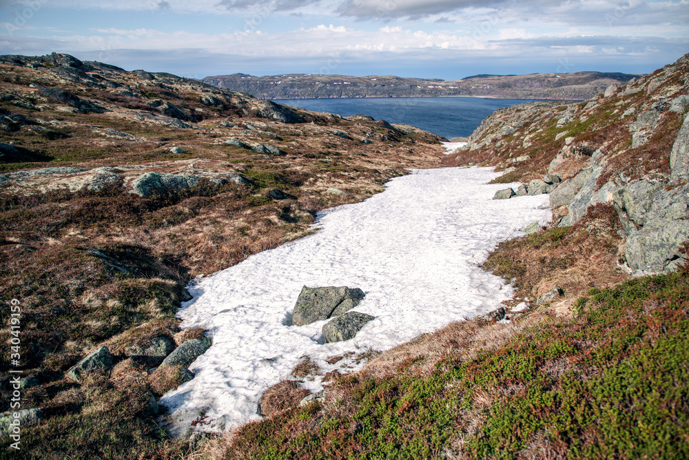 Remains of snow on the hills of the Kola Peninsula. Summer is beyond the Arctic Circle. Barents Sea.

A