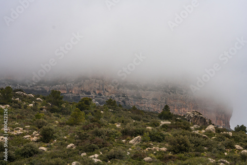 Bargou photo