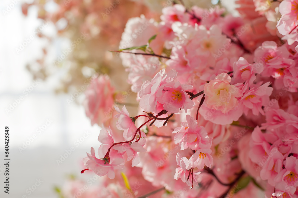 Fototapeta premium white interior with pink flowers